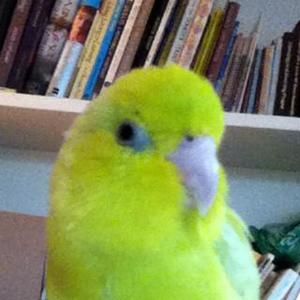 Meet your Posher, Cathy